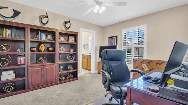 office area with ceiling fan and carpet flooring