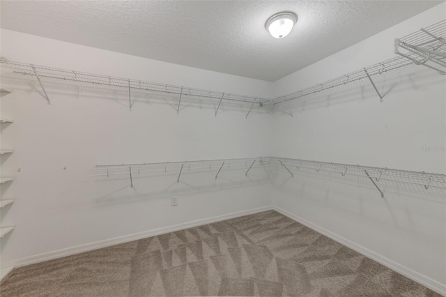 walk in closet with carpet floors