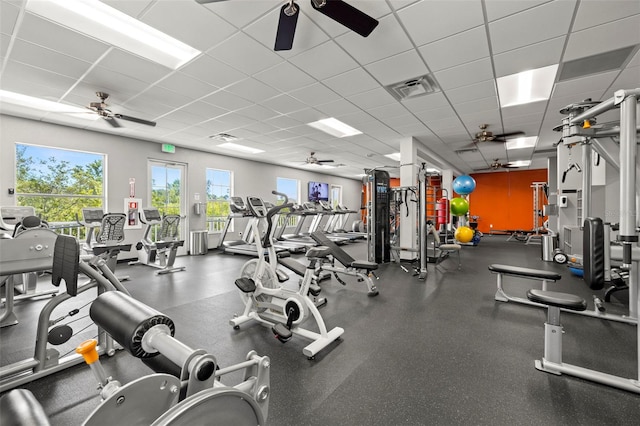 gym with a drop ceiling and ceiling fan