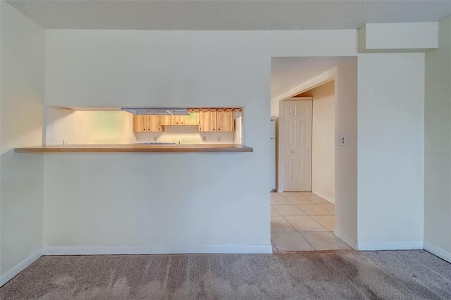 kitchen featuring kitchen peninsula and light carpet