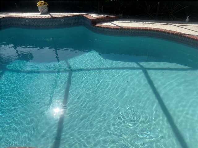 2011 Green Juniper Ln, Brandon, FL 33511 - view of swimming pool