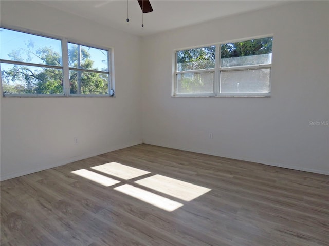 spare room featuring a wealth of natural light, hardwood / wood-style floors, and ceiling fan