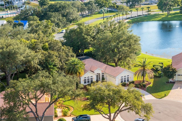 aerial view with a water view