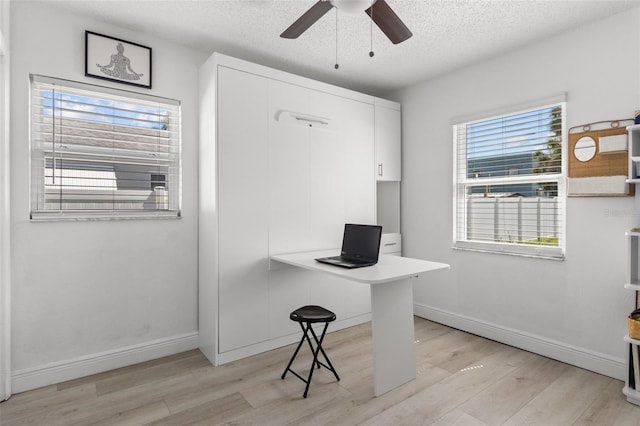 home office with light hardwood / wood-style floors, a textured ceiling, and a healthy amount of sunlight