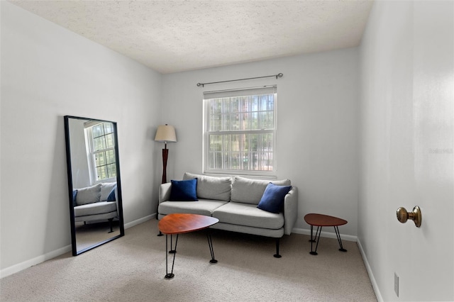 living area with a textured ceiling and carpet flooring