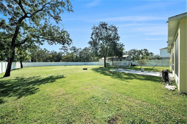 view of yard featuring a patio area