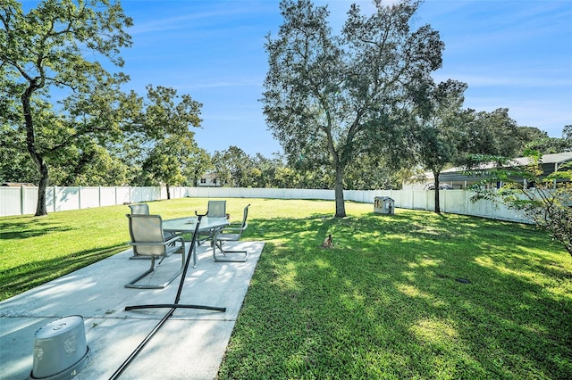 view of yard featuring a patio