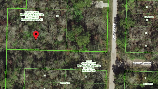 Mira Bella Ave, New Port Richey FL, 34654 land for sale