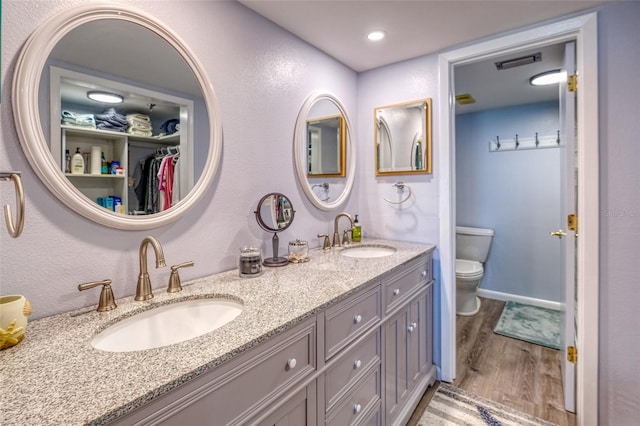 bathroom with toilet, vanity, and wood-type flooring