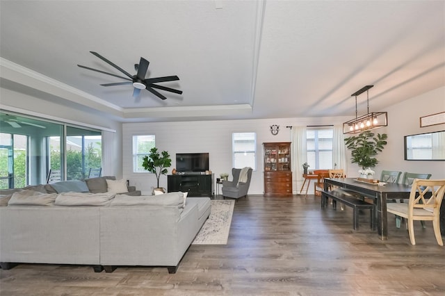 living room featuring wood-type flooring, ceiling fan with notable chandelier, ornamental molding, and plenty of natural light