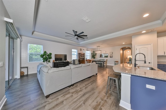 living room featuring wood-type flooring, a tray ceiling, and sink