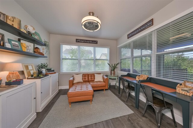 living area featuring dark wood-type flooring