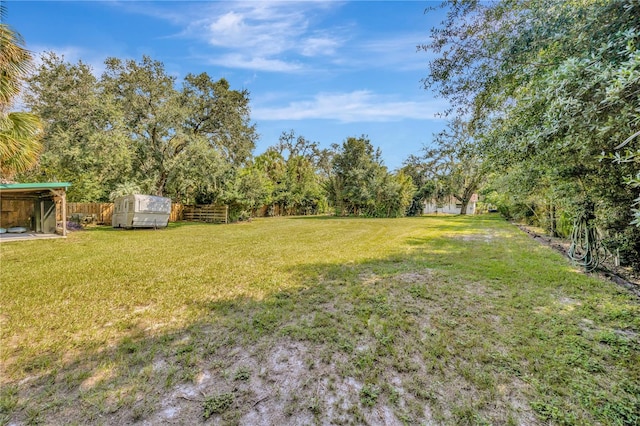 view of yard with a storage shed