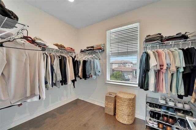 walk in closet featuring dark wood-type flooring