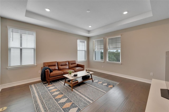 living room featuring a raised ceiling and dark hardwood / wood-style flooring