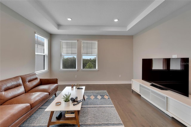 living room with a raised ceiling and dark hardwood / wood-style floors