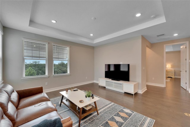 living room featuring wood-type flooring and a raised ceiling