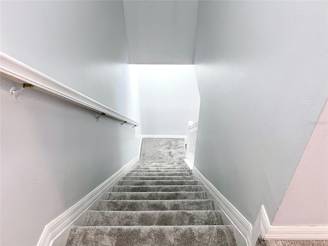 staircase featuring carpet flooring