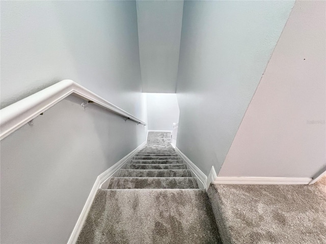 staircase with carpet floors