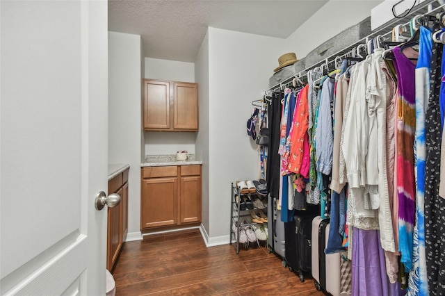 walk in closet featuring dark hardwood / wood-style floors