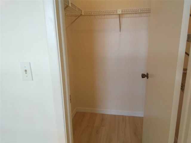 spacious closet with wood-type flooring