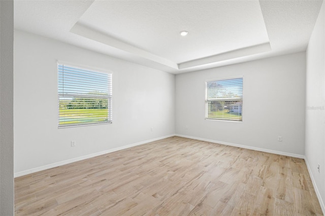 spare room with light hardwood / wood-style flooring, a raised ceiling, and a healthy amount of sunlight