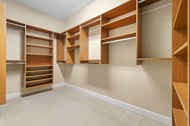 spacious closet featuring light colored carpet