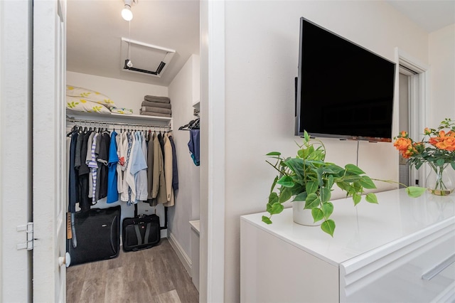 walk in closet with light wood-type flooring