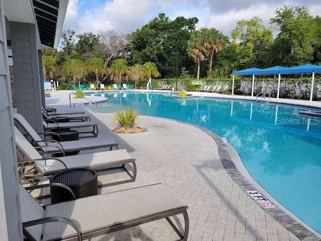 view of swimming pool with a patio