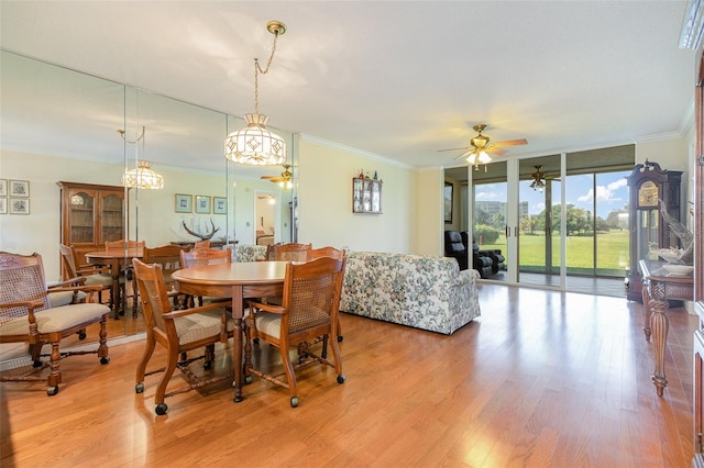 dining space with ceiling fan with notable chandelier, light hardwood / wood-style floors, ornamental molding, and expansive windows