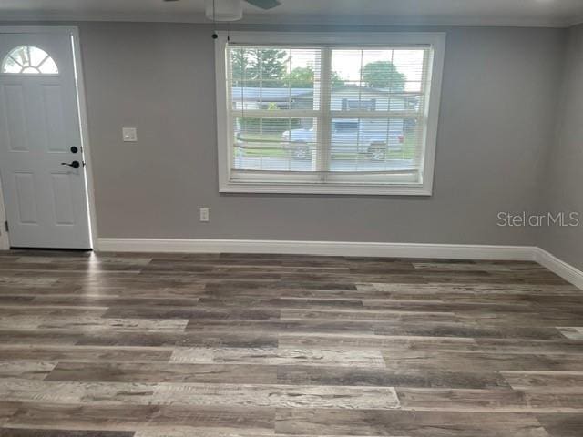 foyer entrance featuring dark wood-type flooring and ceiling fan