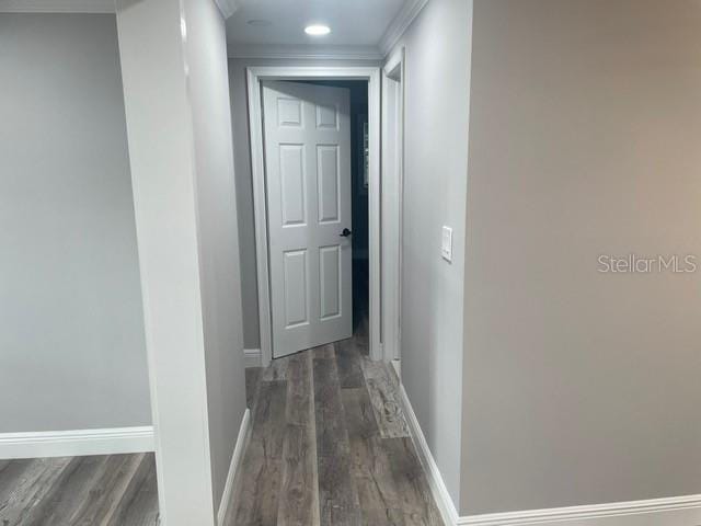 hallway featuring crown molding and dark hardwood / wood-style flooring