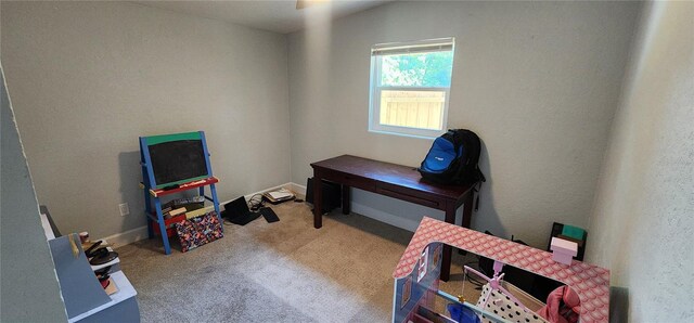 miscellaneous room with light carpet