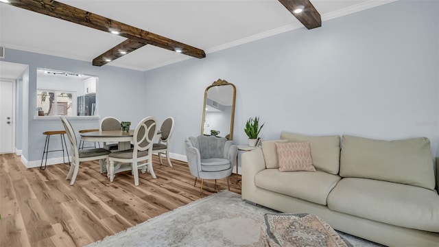 living room featuring beam ceiling, light hardwood / wood-style floors, and crown molding