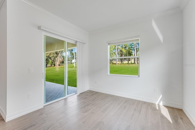 spare room featuring crown molding and light hardwood / wood-style floors