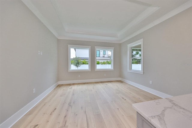 spare room featuring a raised ceiling and light hardwood / wood-style floors