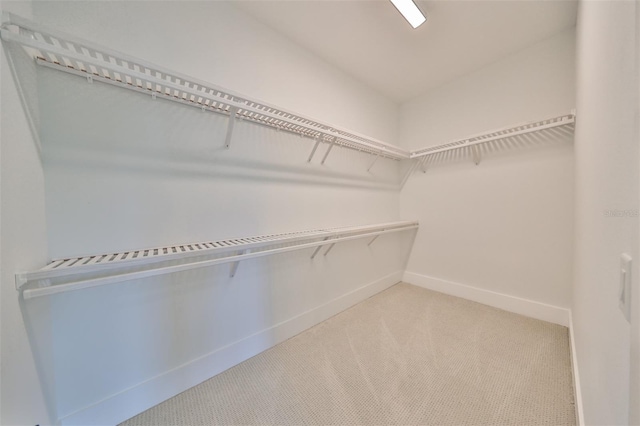 walk in closet with carpet flooring