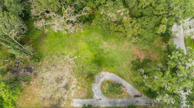 712 Welton Rd, Lutz FL, 33548 land for sale