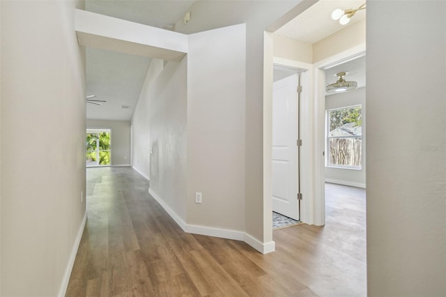 corridor with wood-type flooring and a healthy amount of sunlight