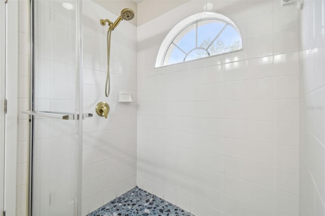 bathroom featuring a shower with shower door