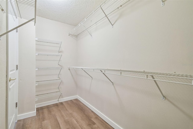 walk in closet with hardwood / wood-style floors