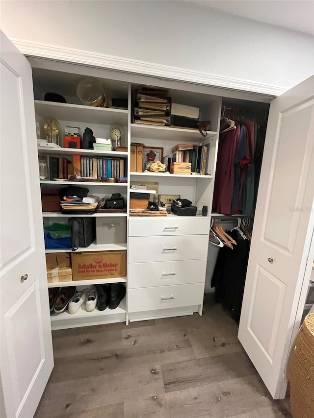 view of closet