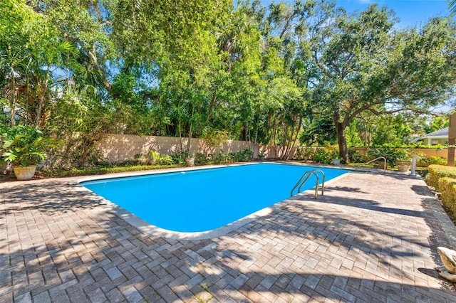 view of pool with a patio