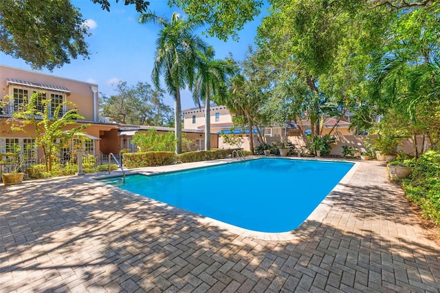 view of swimming pool featuring a patio area