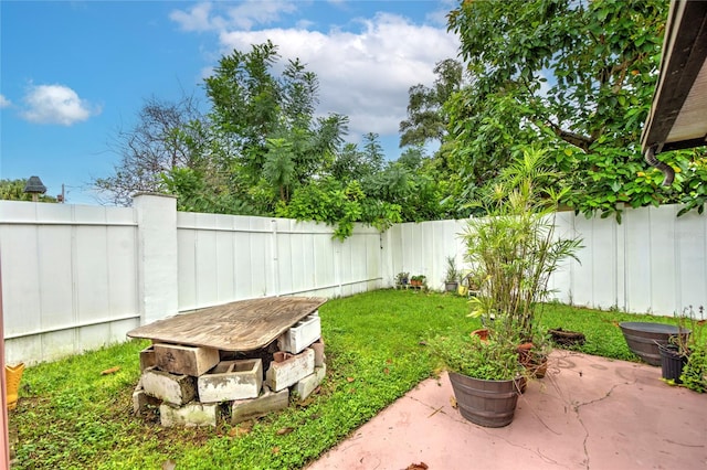 view of yard featuring a patio