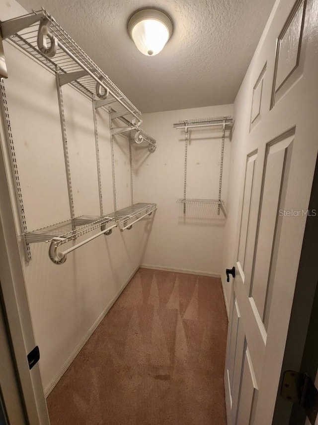 spacious closet with carpet floors