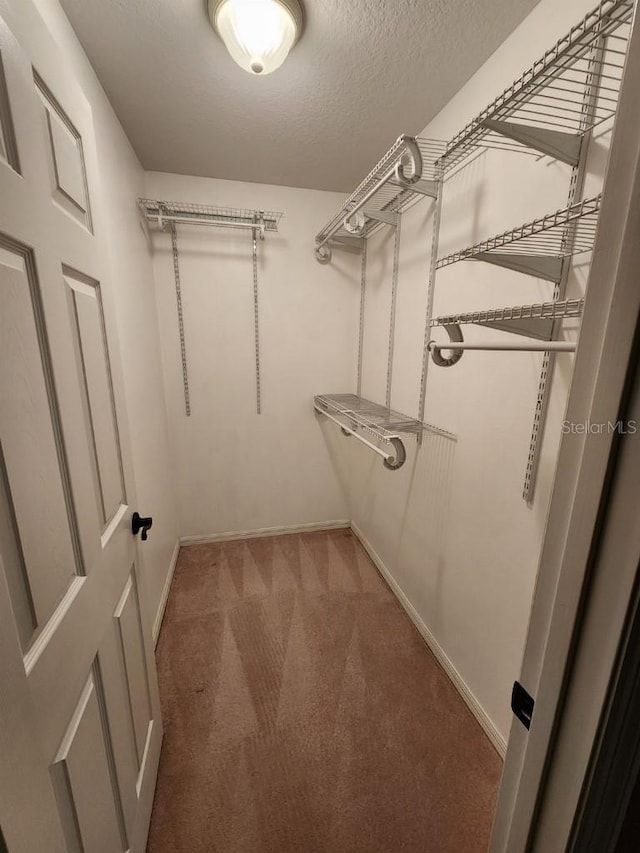 spacious closet with light colored carpet