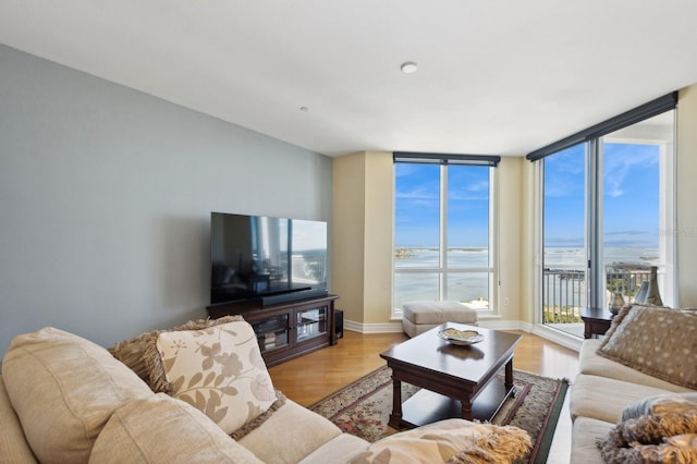 living room with a wall of windows and light hardwood / wood-style flooring