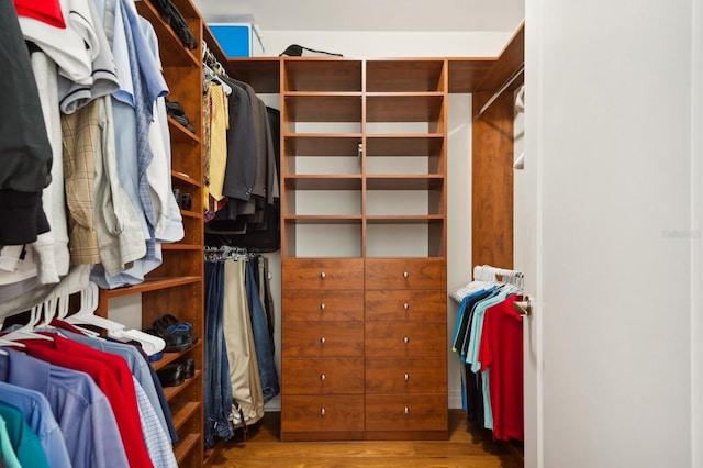 spacious closet with wood-type flooring