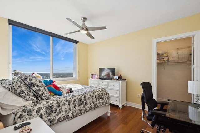 bedroom featuring a spacious closet, a closet, ceiling fan, and dark wood-type flooring